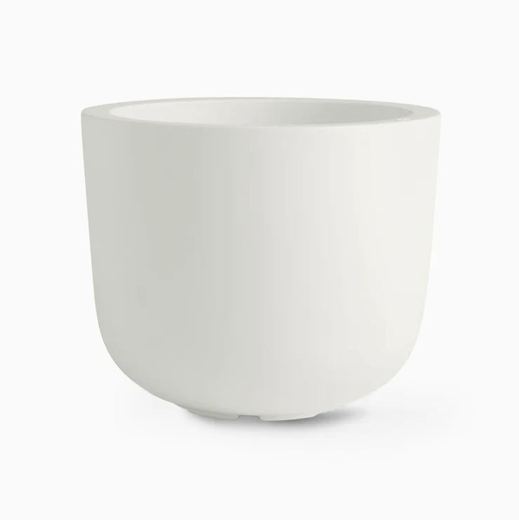cup big planter