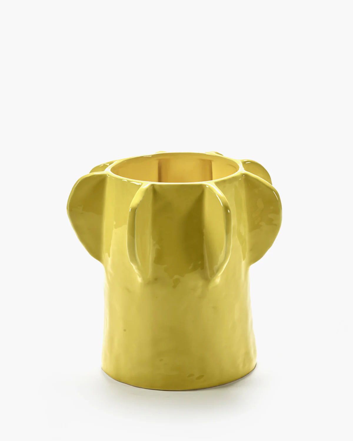 Flower Pot 01 S Yellow Molly
