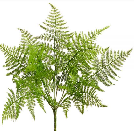 Fern Bush Green 81 cm