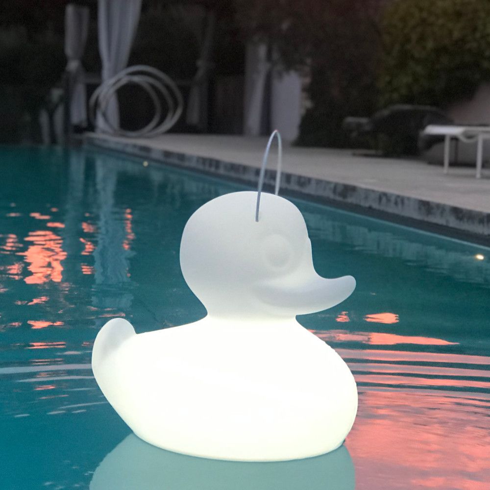 Duck Lamp Small Led