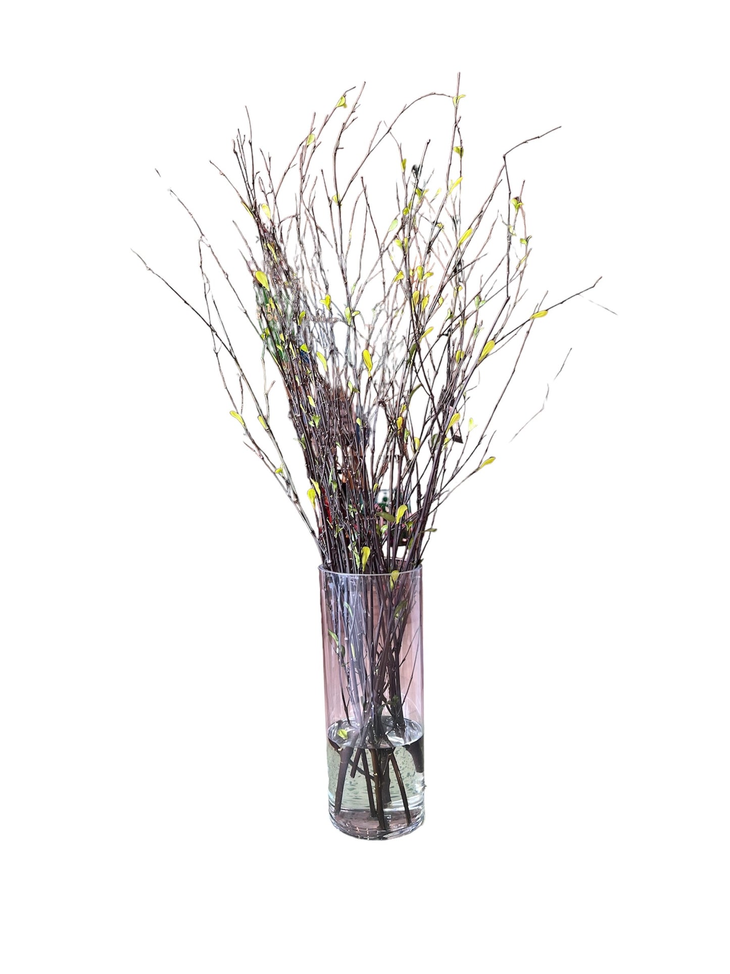 40"Mini Leaves On Twig In Gls