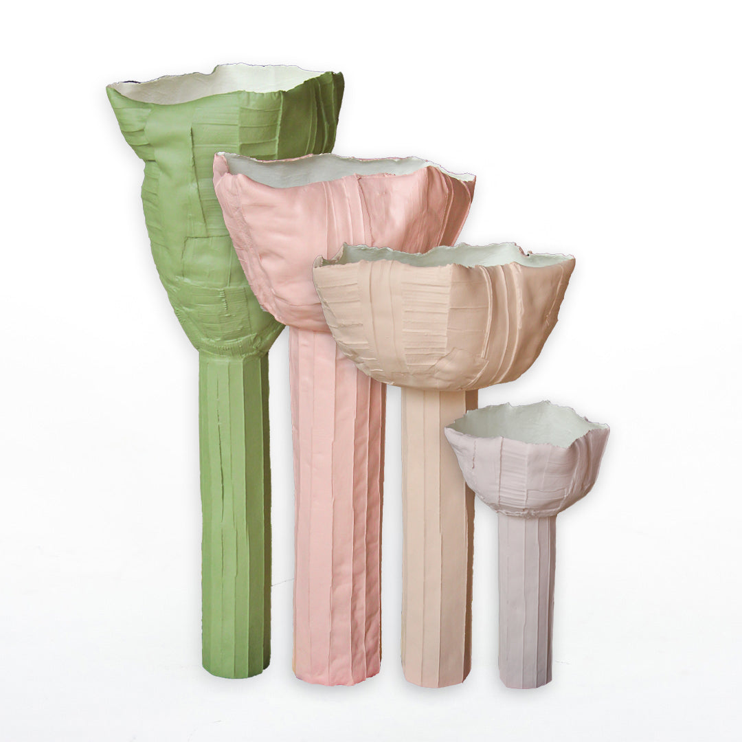 Tulipano Giganti