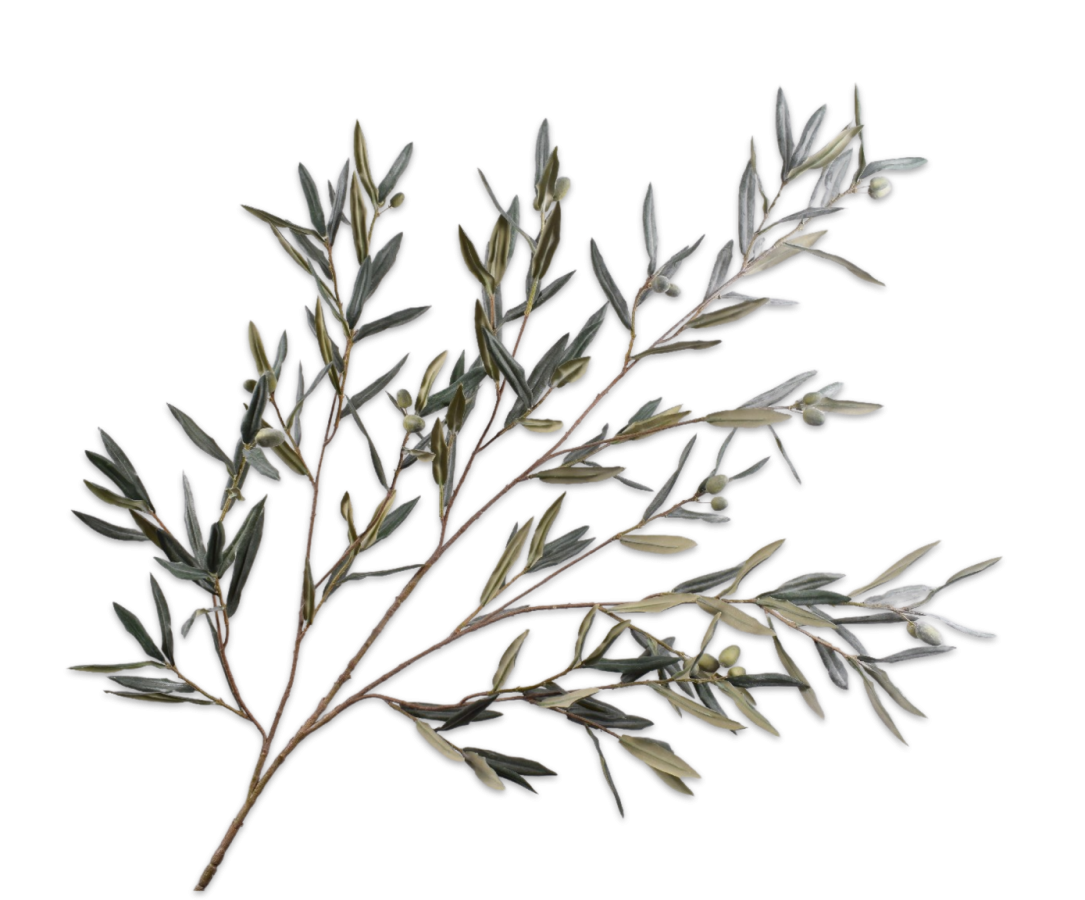 Olive Spray Grn/Gry