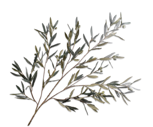 Olive Spray Grn/Gry