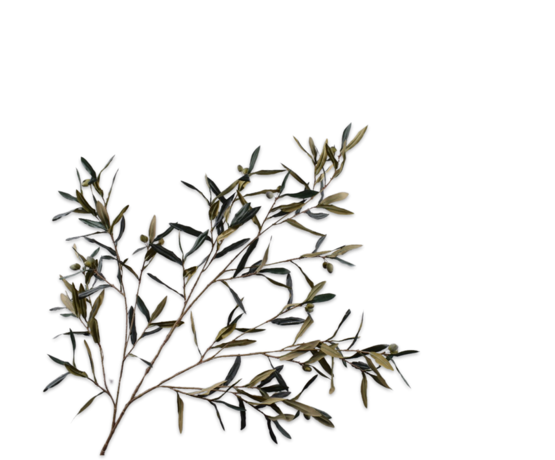Olive Spray Grn/Gry Fr