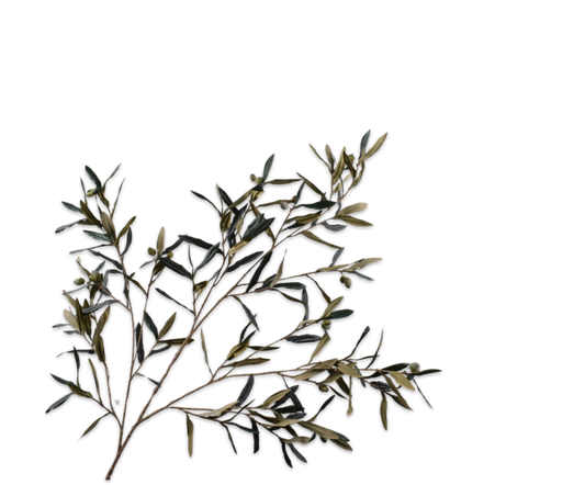 Olive Spray Grn/Gry Fr