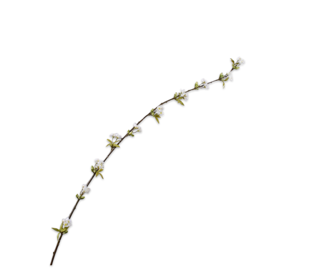 Blossom Spray Cream