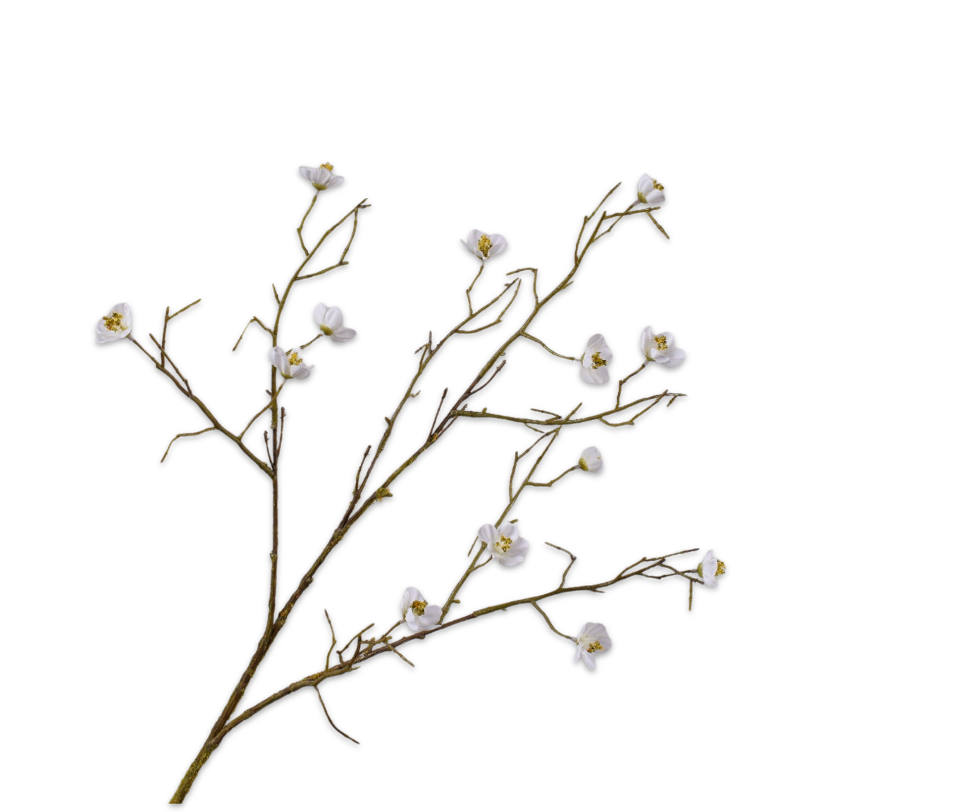 Blossom Spray White