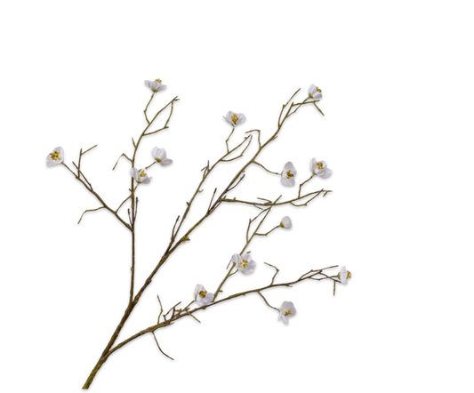Blossom Spray White