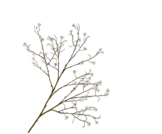 Blossom Spray White