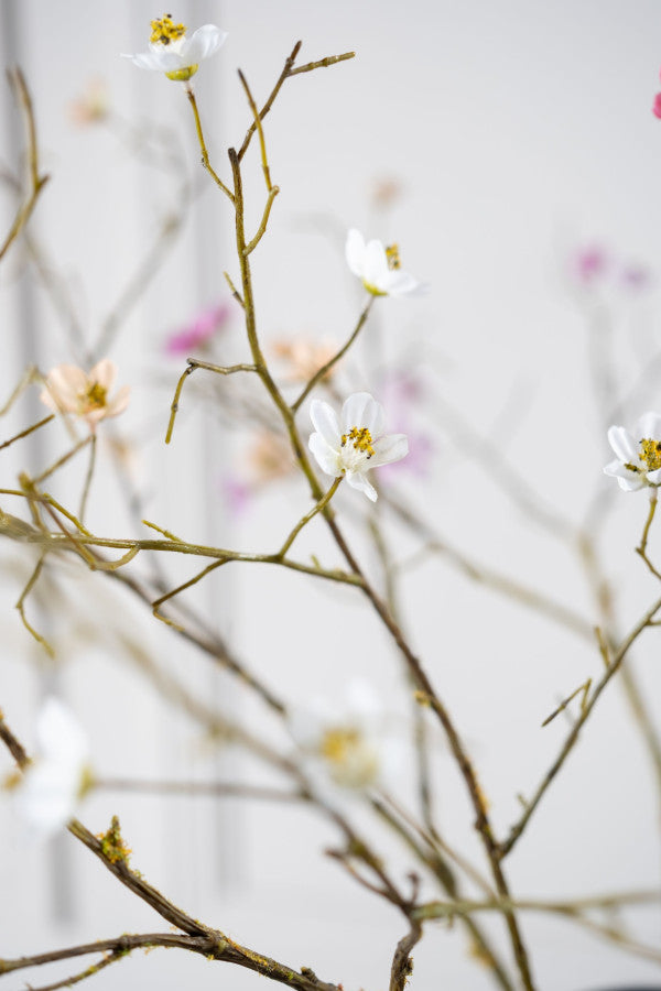 Blossom Spray White