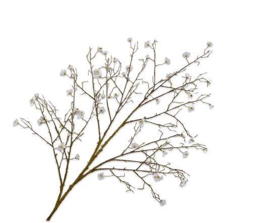 Blossom Spray White