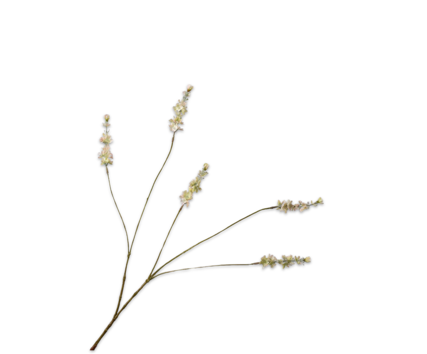 Lavender Spray Green