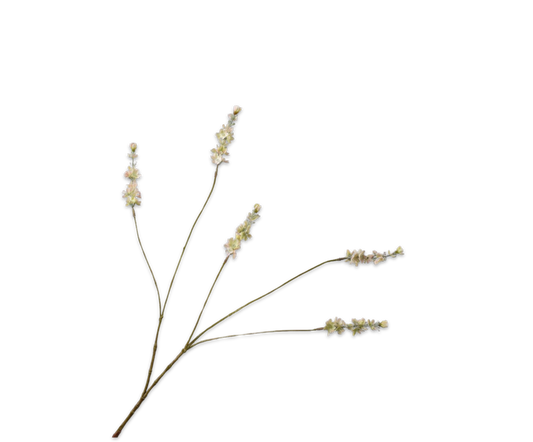 Lavender Spray Green
