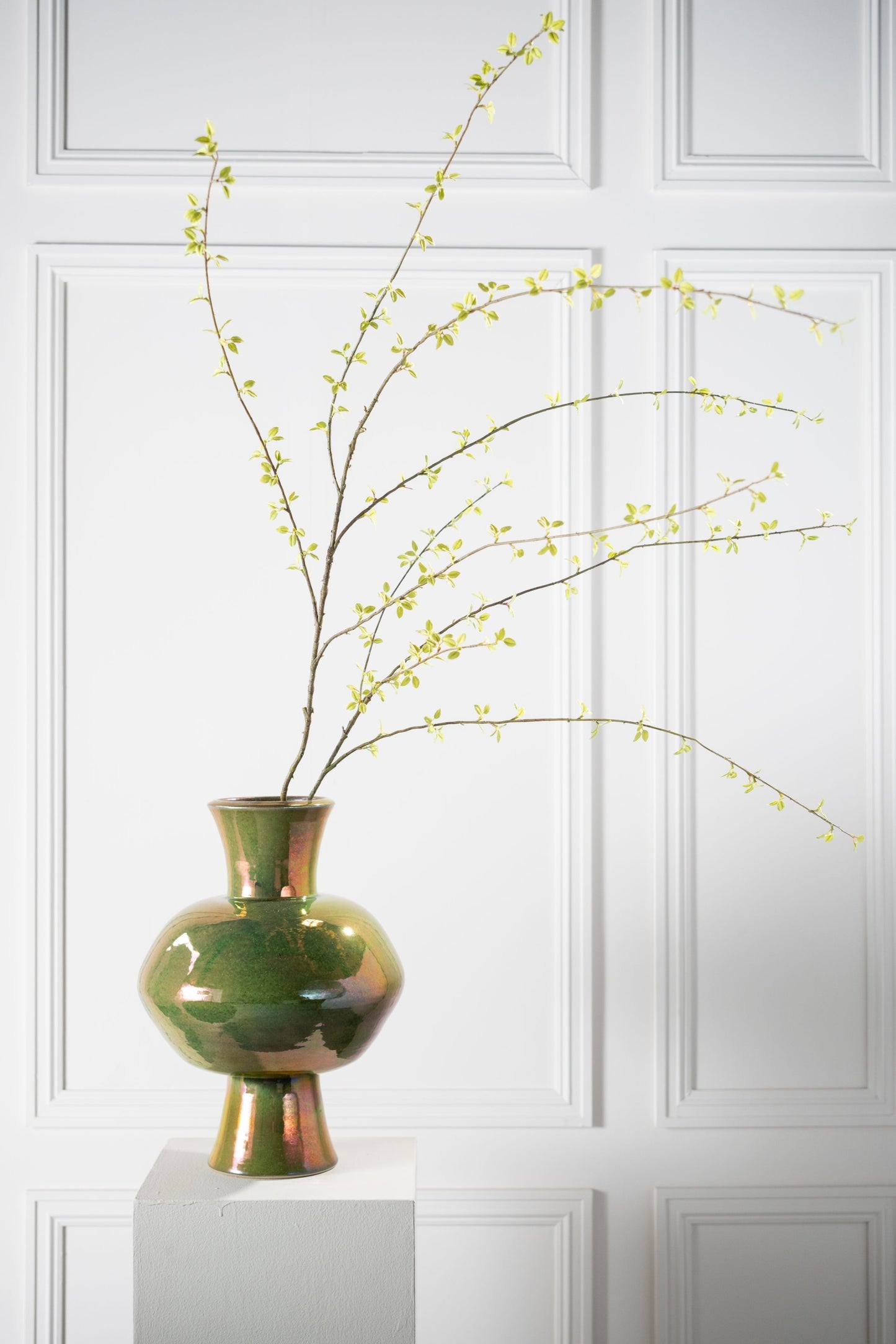 Amelanchier Spray Green