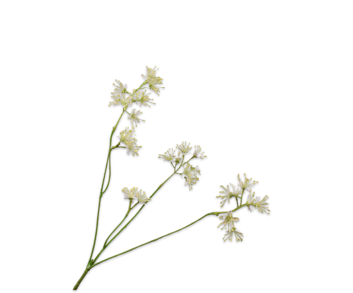 Aralia Spray Pink Lt