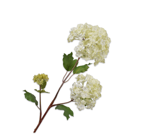 Snowball Spray Cream