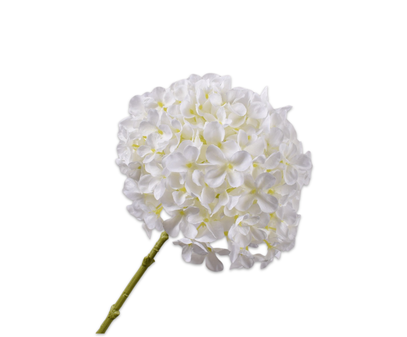 Hydrangea Stem White