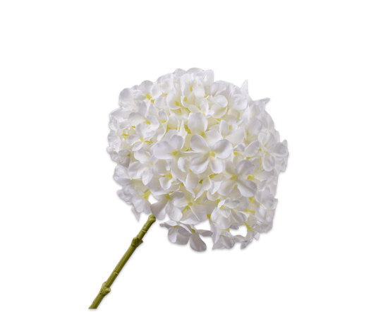 Hydrangea Stem White