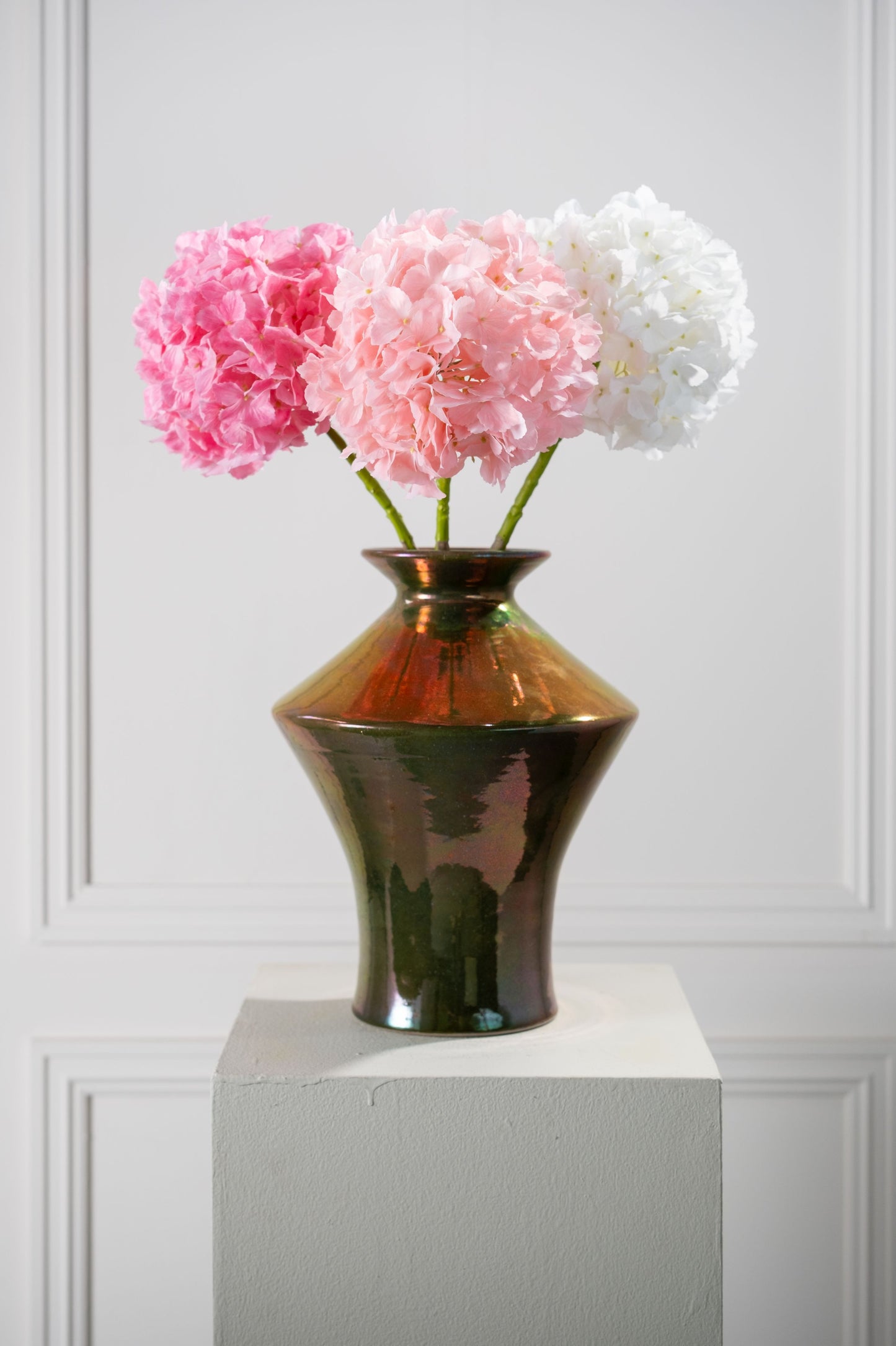 Hydrangea Stem White Rt