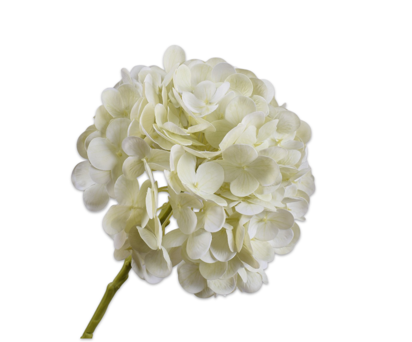 Hydrangea Stem White Rt
