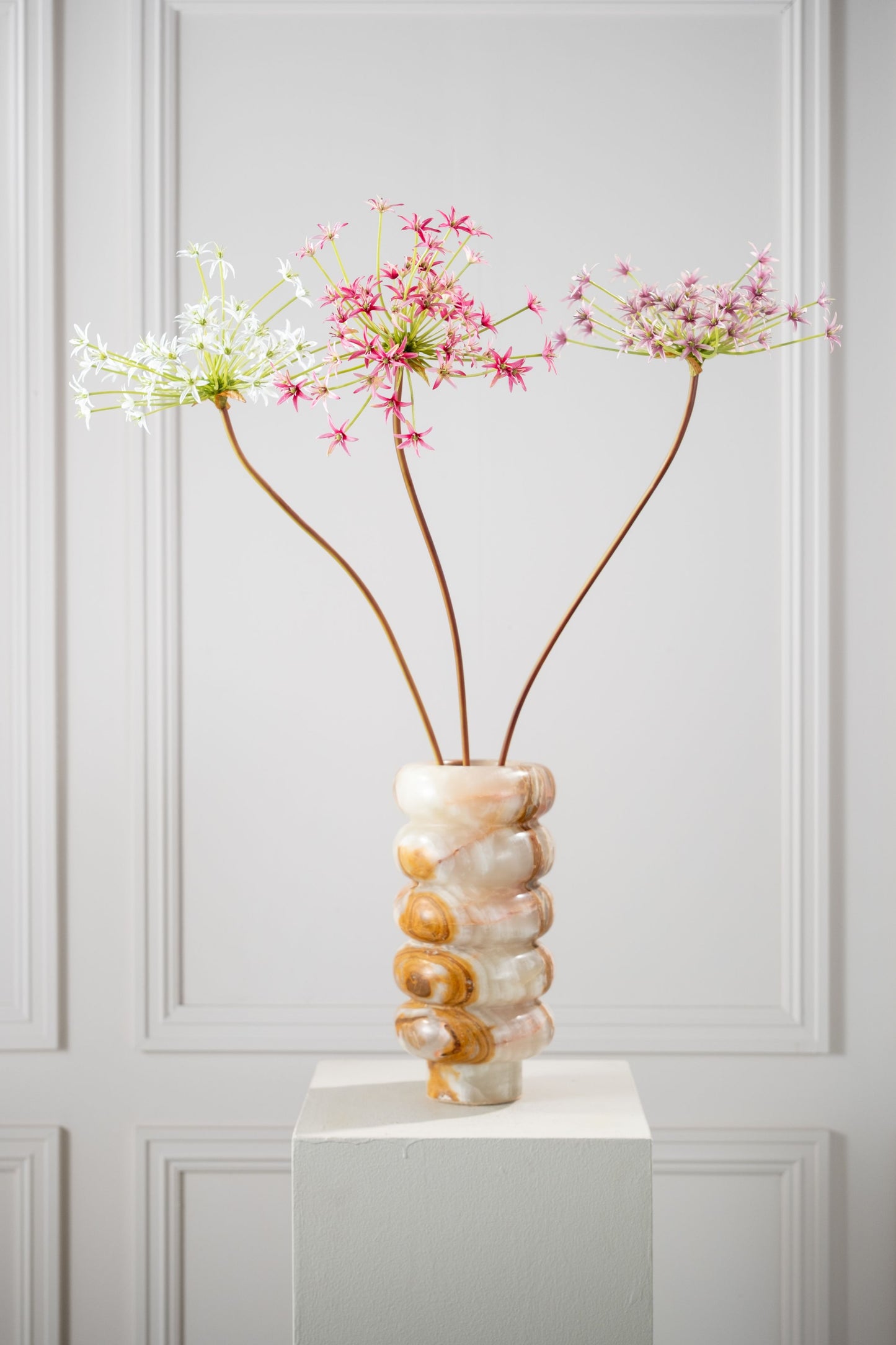 Allium Stem White
