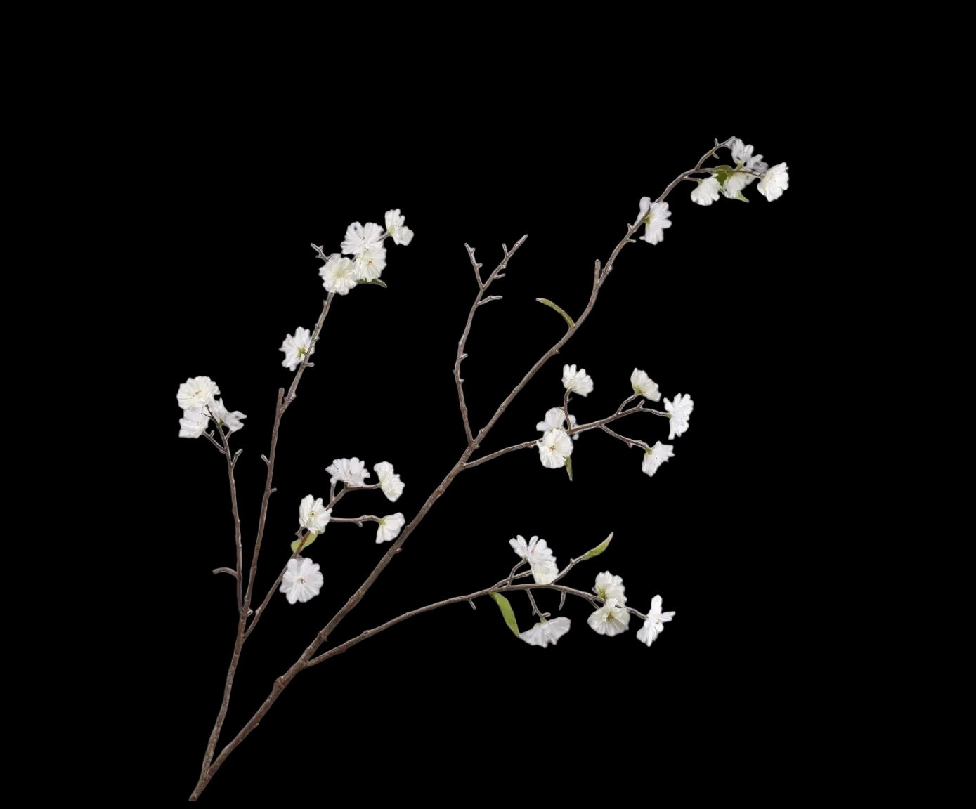 Blossom Spray White