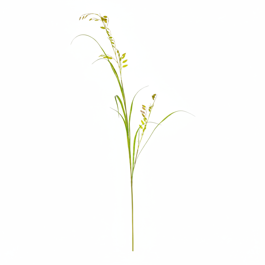 Grass Spray Green