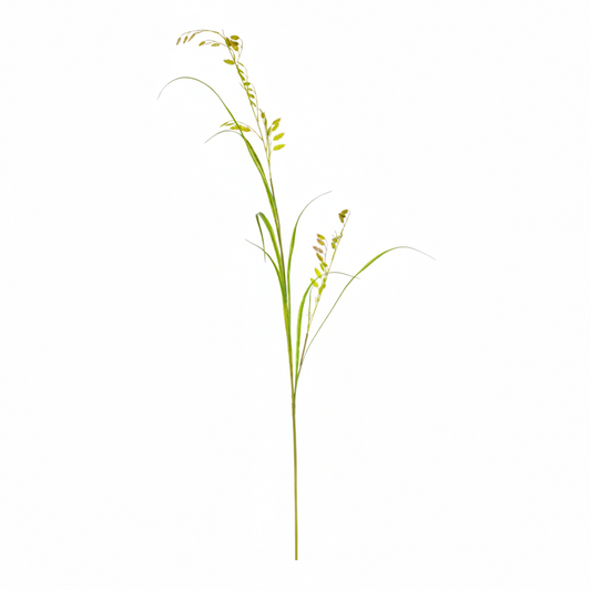 Grass Spray Green