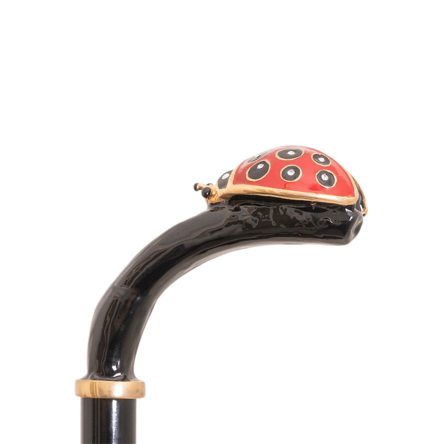 Shoehorn Cissi