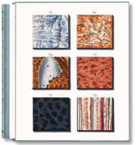 cl-Sepp, Marble