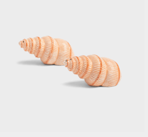 Salt & Pepper Shell