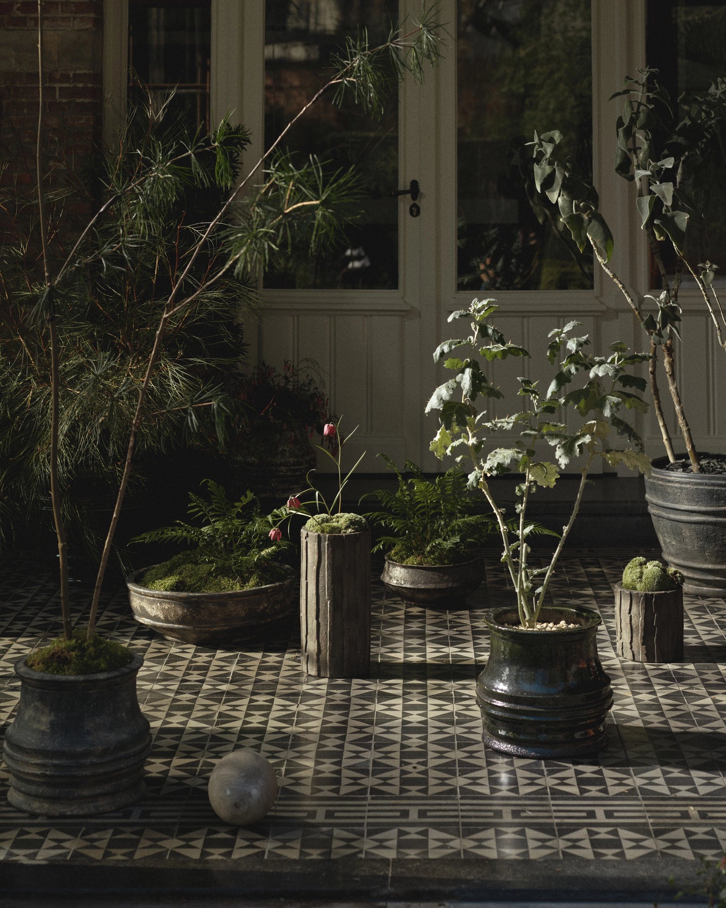 Planter 03 M Black Green Rift