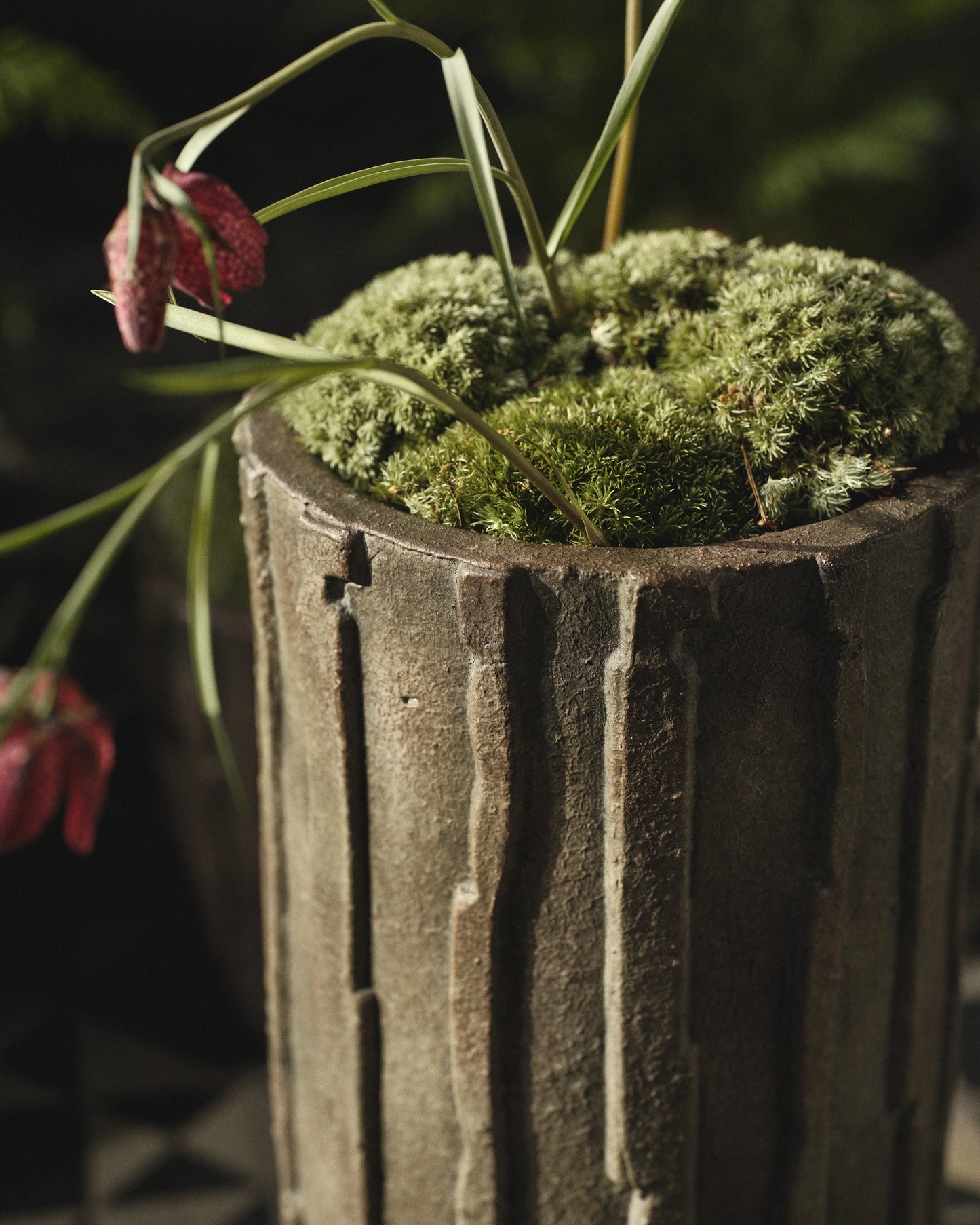 Planter 03 Xl Black Green Rift