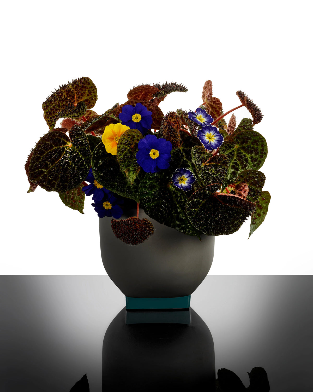 Flower Pot 02 Grey/Turquoise