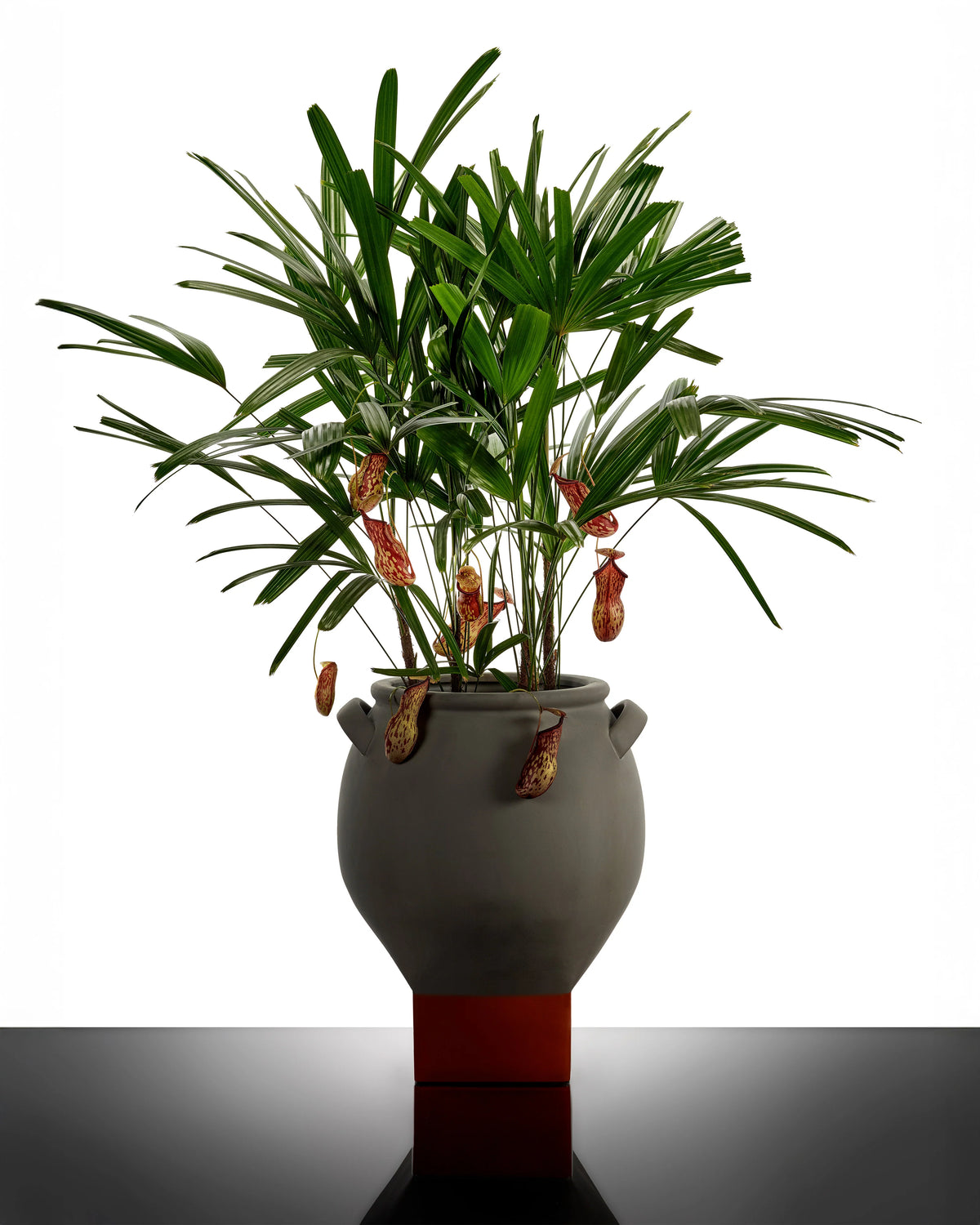 Flower Pot 08 Grey/Orange