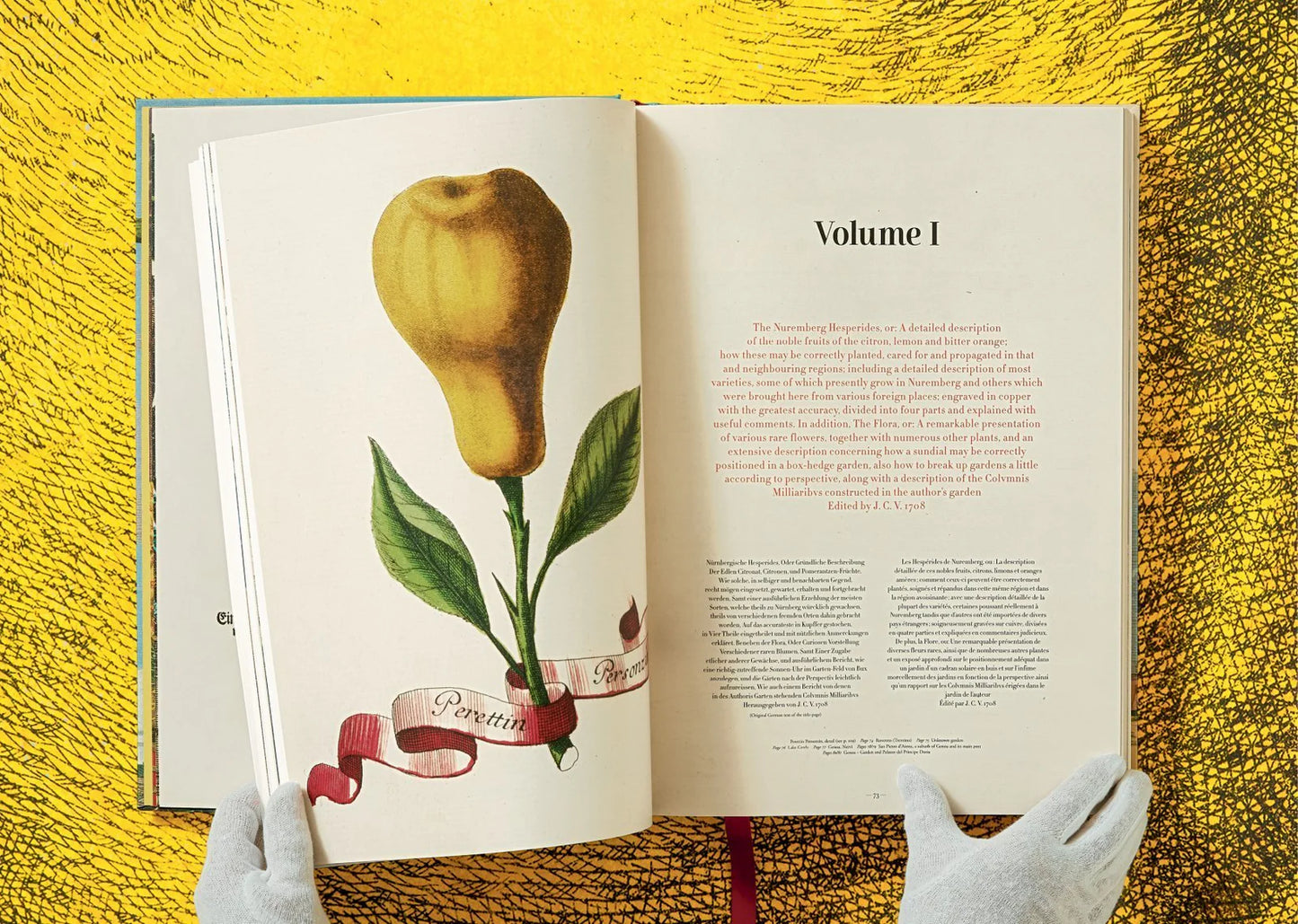 The Book of Citrus Fruits