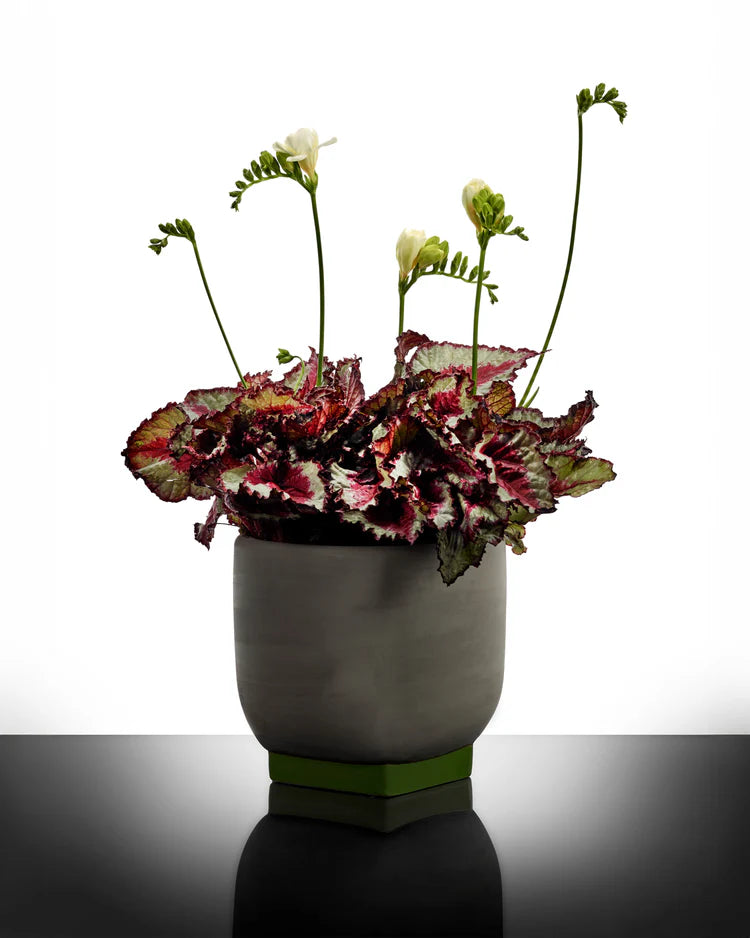 Flower Pot 02 Grey/Green