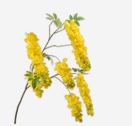 Wisteria Spray Yellow 173 cm
