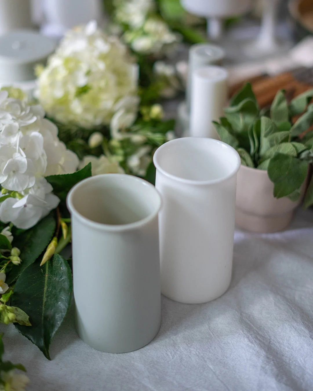 Blanc + Dove  Stegg Highball Glasses