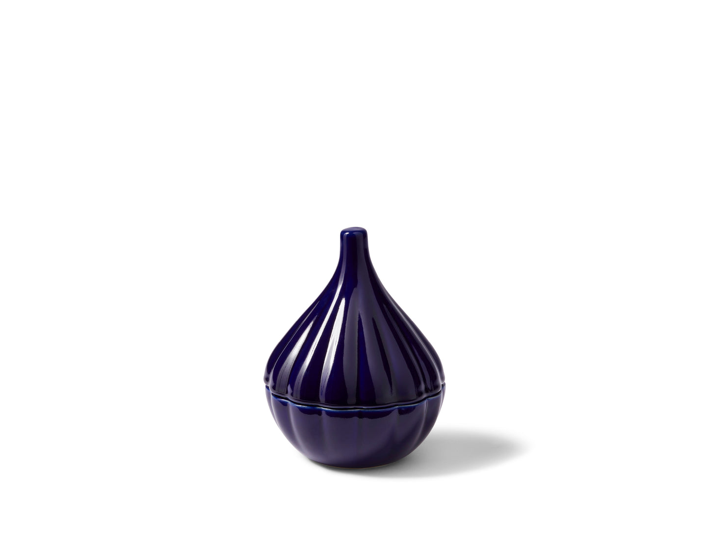 Ceramic Box Onion