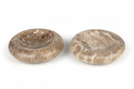 Petrified Wood Burger Bowl
