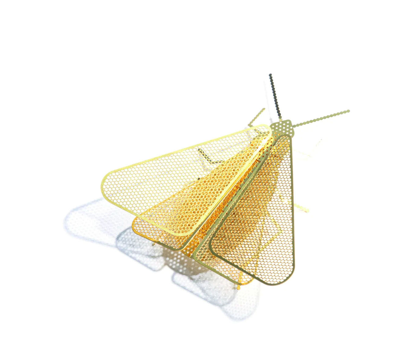 SET OF 10 - FLATMATES - MOTH