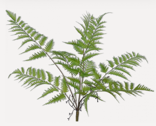 FERN BUSH GREEN 64 cm
