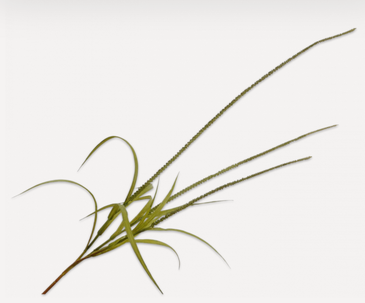 GRASS SPRAY GRN LT 135 cm